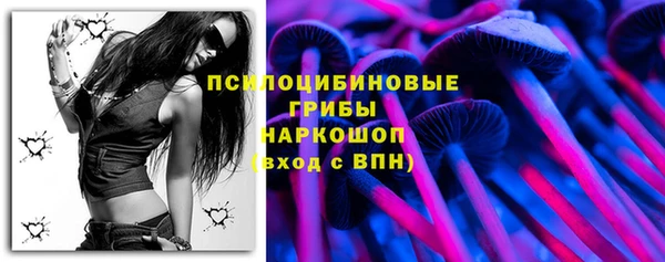 PSILOCYBIN Беломорск