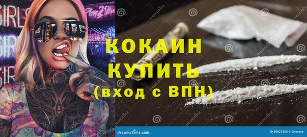 гидра Белоозёрский