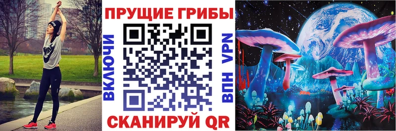 Галлюциногенные грибы прущие грибы  Высоковск 